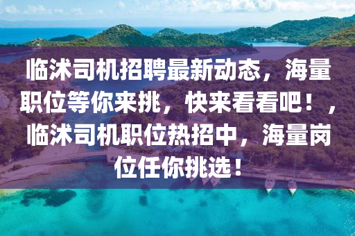 临沭司机招聘最新动态，海量职位等你来挑，快来看看吧！，临沭司机职位热招中，海量岗位任你挑选！