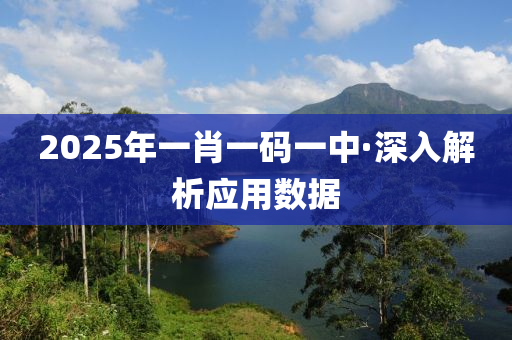 2025年一肖一码一中·深入解析应用数据