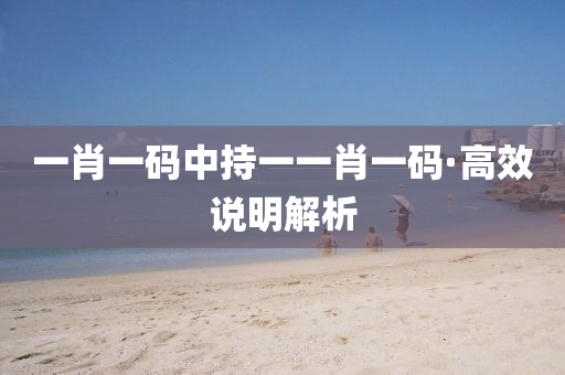 一肖一码中持一一肖一码·高效说明解析