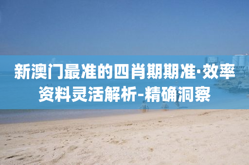 新澳门最准的四肖期期准·效率资料灵活解析-精确洞察