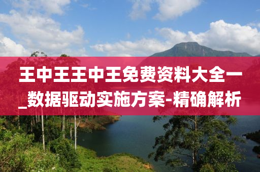 王中王王中王免费资料大全一_数据驱动实施方案-精确解析