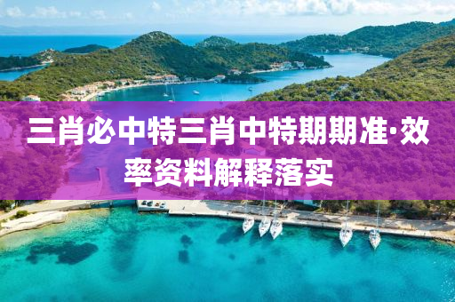三肖必中特三肖中特期期准·效率资料解释落实