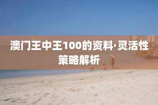 澳门王中王100的资料·灵活性策略解析
