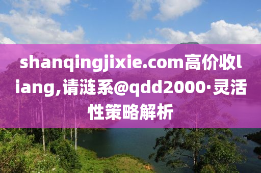 shanqingjixie.com高价收liang,请涟系@qdd2000·灵活性策略解析