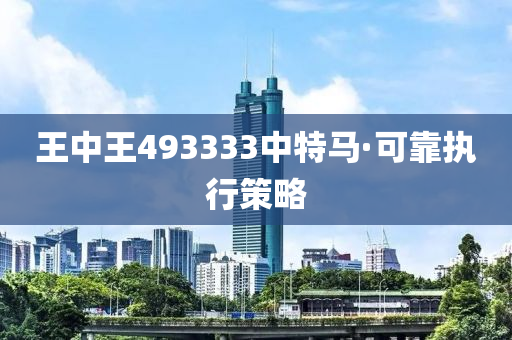 王中王493333中特马·可靠执行策略