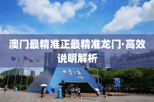 澳门最精准正最精准龙门·高效说明解析