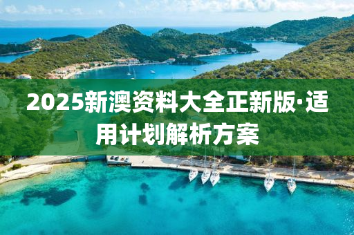 2025新澳资料大全正新版·适用计划解析方案