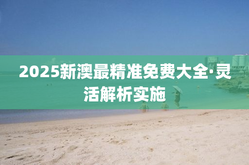 2025新澳最精准免费大全·灵活解析实施