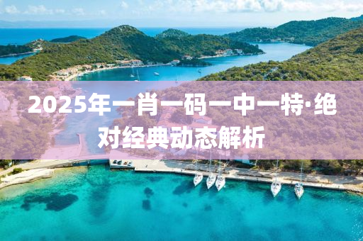 2025年一肖一码一中一特·绝对经典动态解析