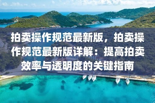 拍卖操作规范最新版，拍卖操作规范最新版详解：提高拍卖效率与透明度的关键指南
