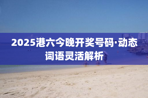 2025港六今晚开奖号码·动态词语灵活解析