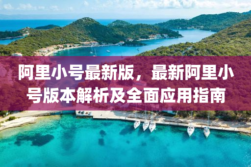 阿里小号最新版，最新阿里小号版本解析及全面应用指南
