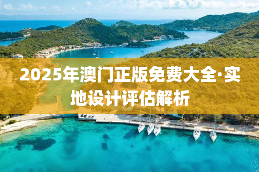 2025年澳门正版免费大全·实地设计评估解析