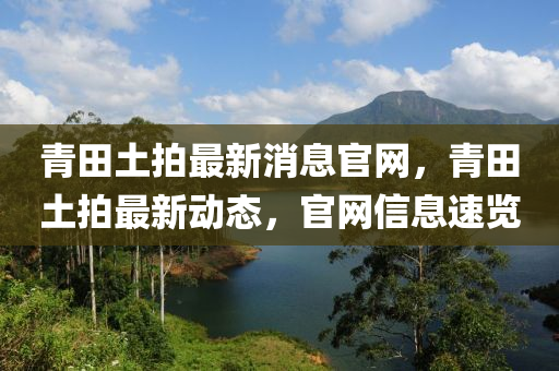 青田土拍最新消息官网，青田土拍最新动态，官网信息速览