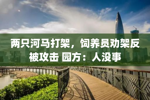 两只河马打架，饲养员劝架反被攻击 园方：人没事
