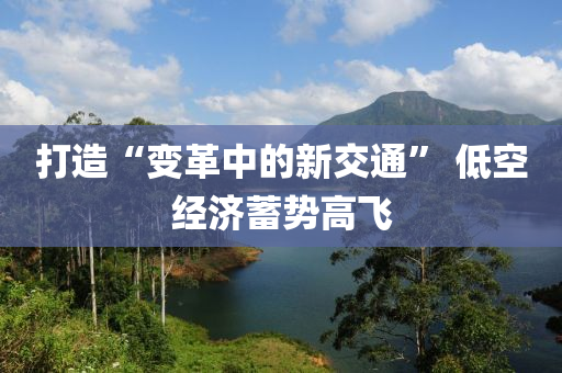 打造“变革中的新交通” 低空经济蓄势高飞