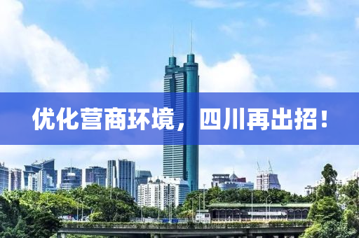 2025年2月10日 第17页