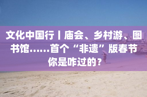 文化中国行丨庙会、乡村游、图书馆……首个“非遗”版春节 你是咋过的？