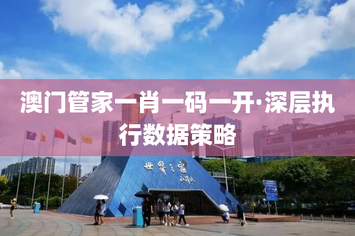 澳门管家一肖一码一开·深层执行数据策略