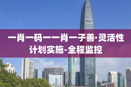 一肖一码一一肖一子善·灵活性计划实施-全程监控