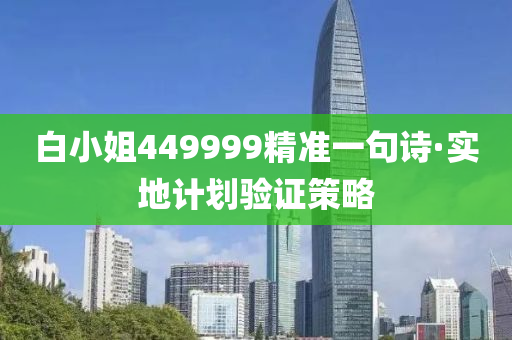 白小姐449999精准一句诗·实地计划验证策略