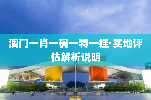 澳门一肖一码一特一挂·实地评估解析说明