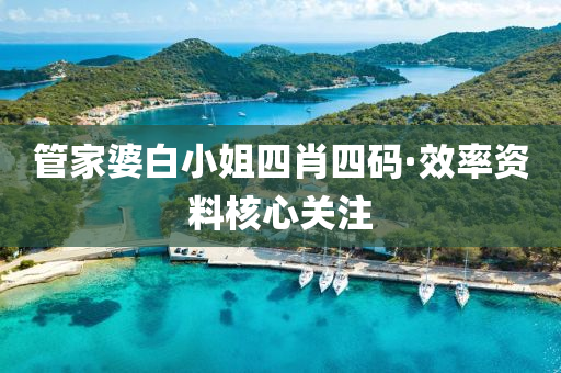 管家婆白小姐四肖四码·效率资料核心关注