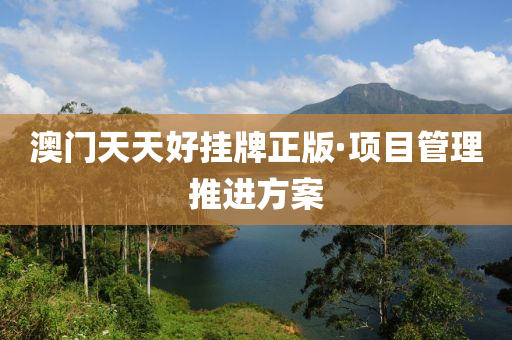 澳门天天好挂牌正版·项目管理推进方案