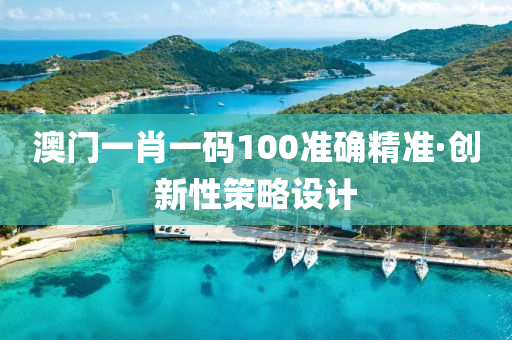 澳门一肖一码100准确精准·创新性策略设计