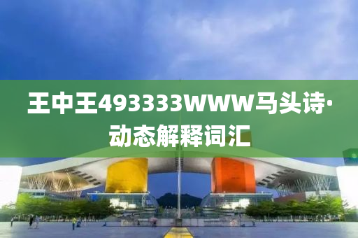 王中王493333WWW马头诗·动态解释词汇