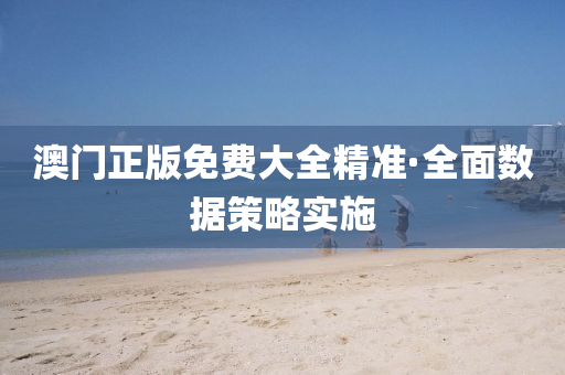 澳门正版免费大全精准·全面数据策略实施