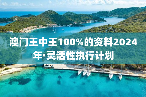 澳门王中王100%的资料2024年·灵活性执行计划