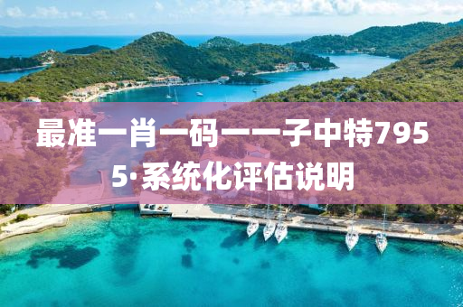 最准一肖一码一一子中特7955·系统化评估说明