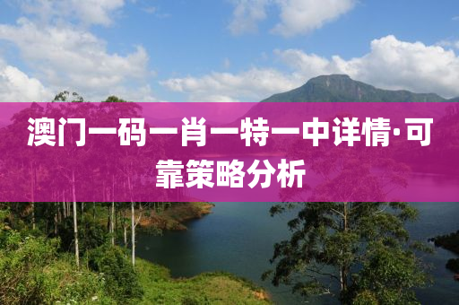 澳门一码一肖一特一中详情·可靠策略分析