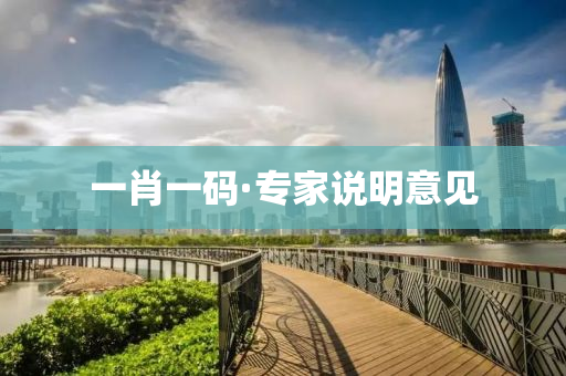 一肖一码·专家说明意见