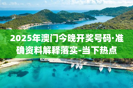 2025年澳门今晚开奖号码·准确资料解释落实-当下热点