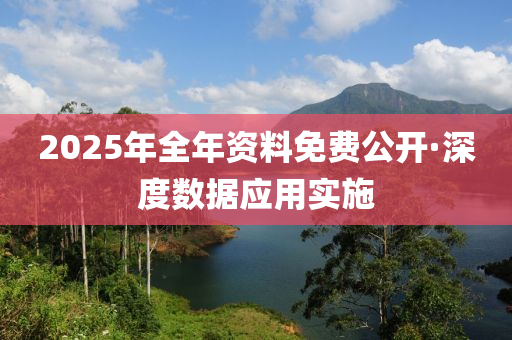 2025年全年资料免费公开·深度数据应用实施