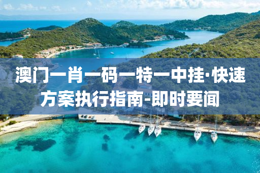 澳门一肖一码一特一中挂·快速方案执行指南-即时要闻