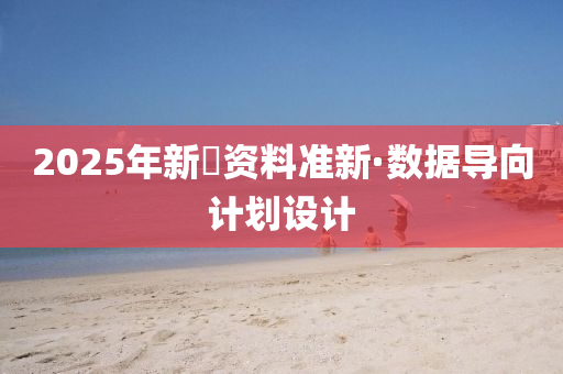 2025年新奧资料准新·数据导向计划设计