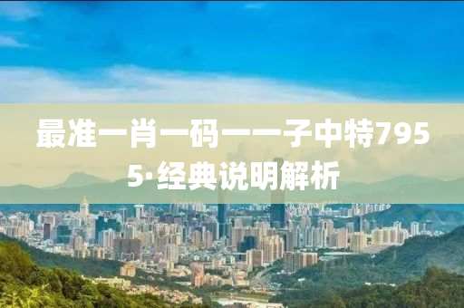 最准一肖一码一一子中特7955·经典说明解析