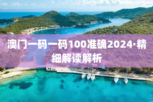 澳门一码一码100准确2024·精细解读解析