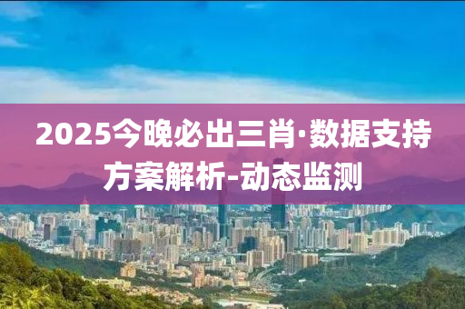 2025今晚必出三肖·数据支持方案解析-动态监测