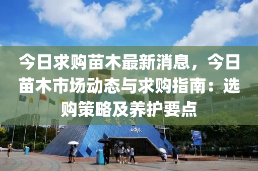今日求购苗木最新消息，今日苗木市场动态与求购指南：选购策略及养护要点