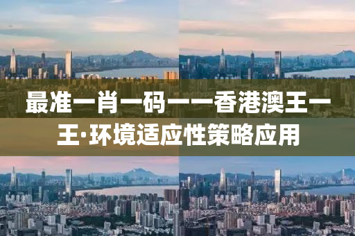 最准一肖一码一一香港澳王一王·环境适应性策略应用