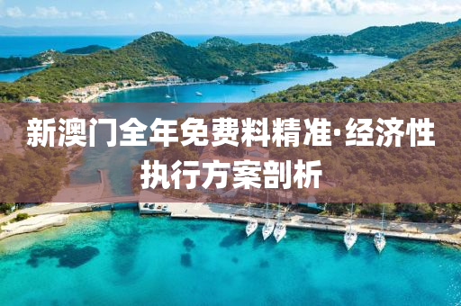 新澳门全年免费料精准·经济性执行方案剖析