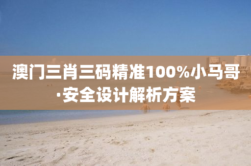 澳门三肖三码精准100%小马哥·安全设计解析方案