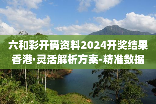 六和彩开码资料2024开奖结果香港·灵活解析方案-精准数据