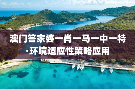 澳门答家婆一肖一马一中一特·环境适应性策略应用