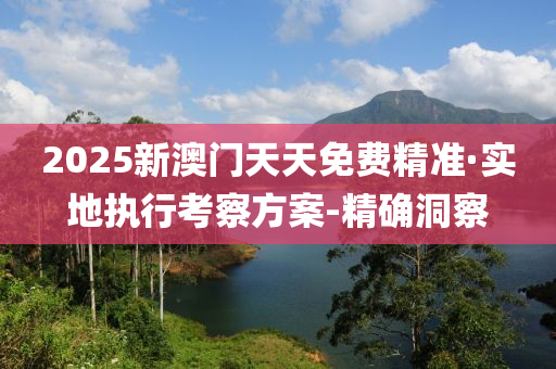 2025新澳门天天免费精准·实地执行考察方案-精确洞察