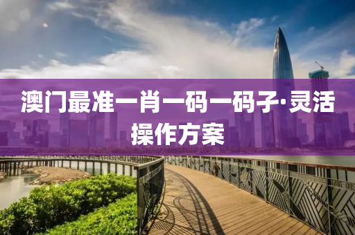 澳门最准一肖一码一码孑·灵活操作方案